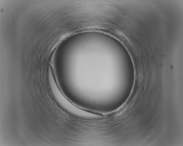 X0000060781361200512082048