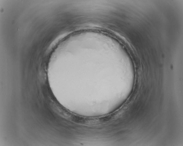 X0000060781363200512082048