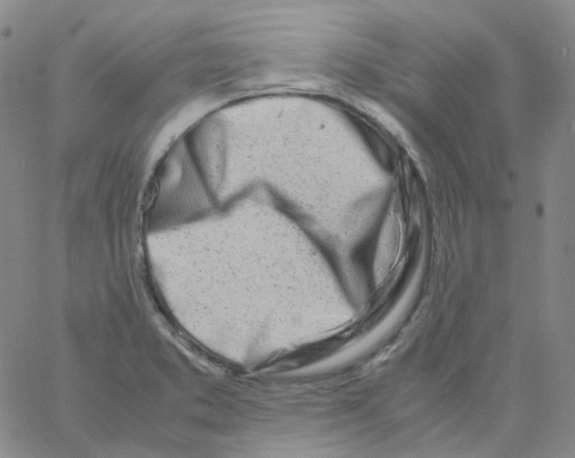 X0000060781373200512082048