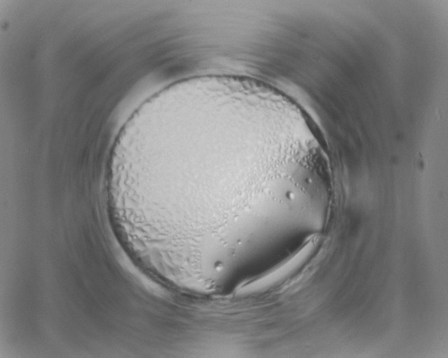 X0000060781387200512082048