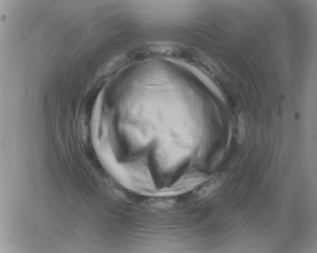 X0000060781394200512082047