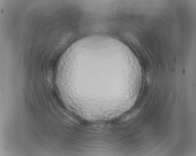 X0000060781396200512082047