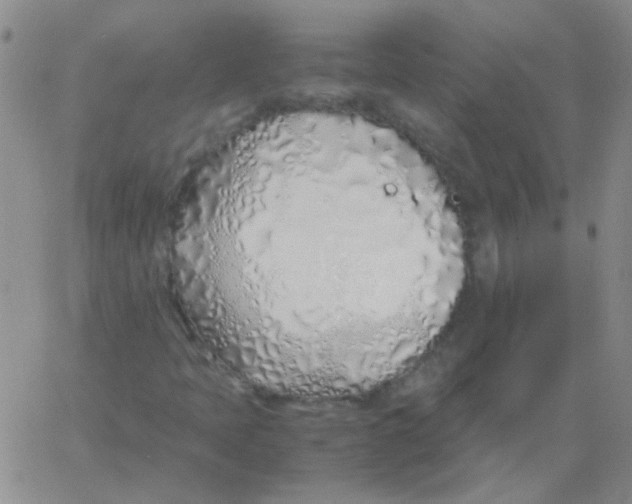 X0000060781397200512082047