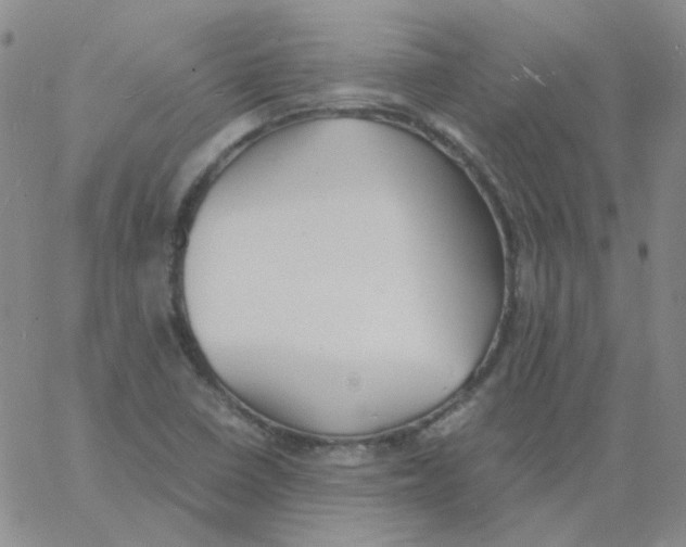 X0000060781410200512082047