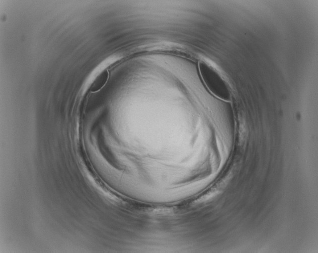 X0000060781418200512082047