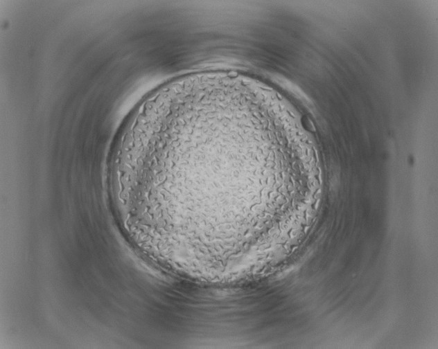X0000060781423200512082047