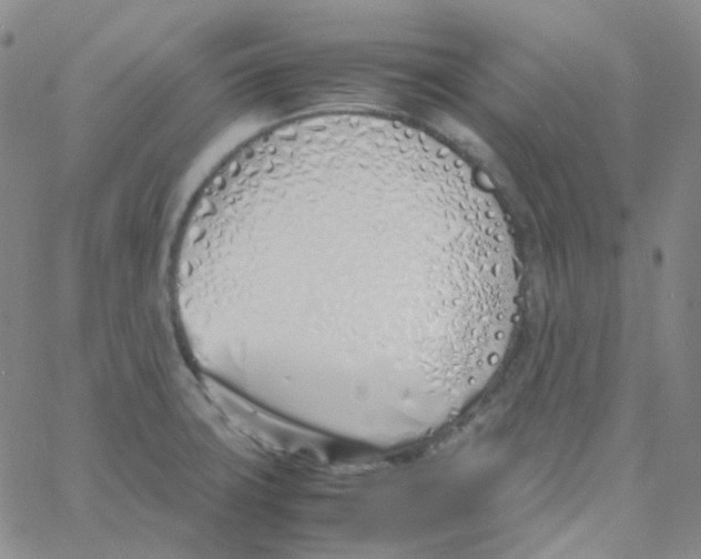 X0000060781427200512082047