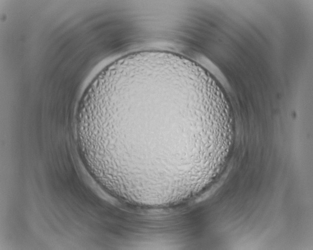 X0000060781436200512082047