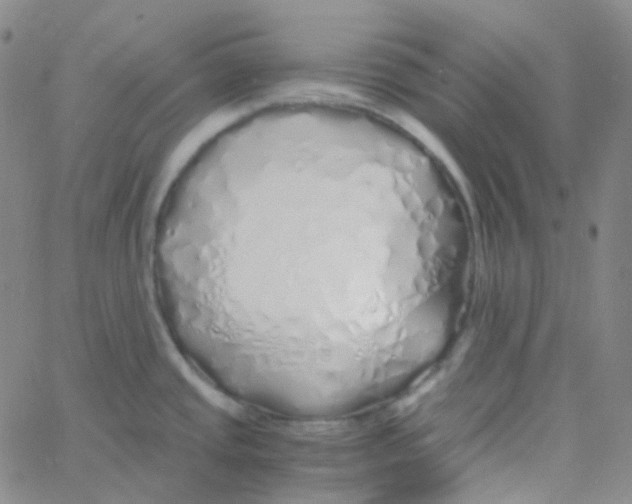 X0000060781437200512082047
