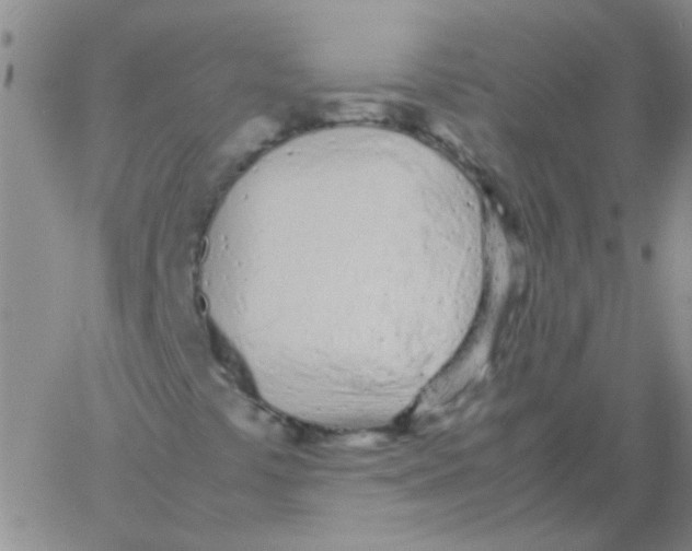 X0000060781441200512082047