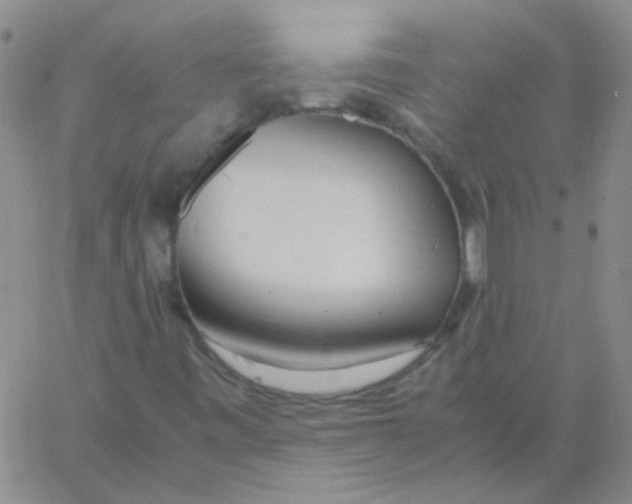 X0000060781443200512082047