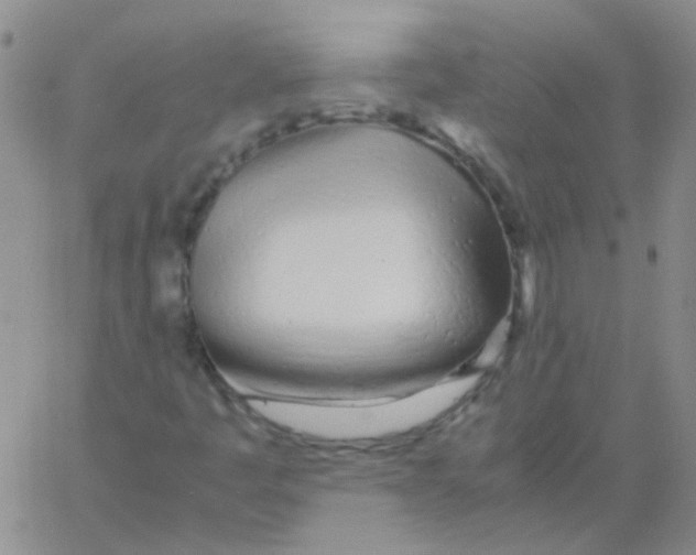 X0000060781445200512082047