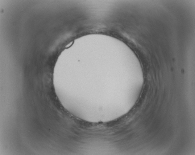 X0000060781447200512082047