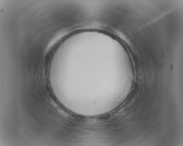 X0000060781456200512082046