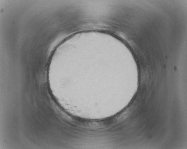 X0000060781459200512082046