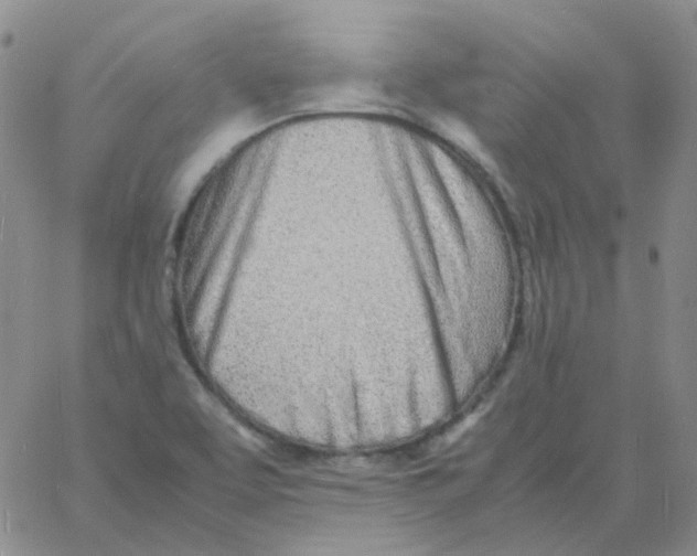 X0000060781463200512082046