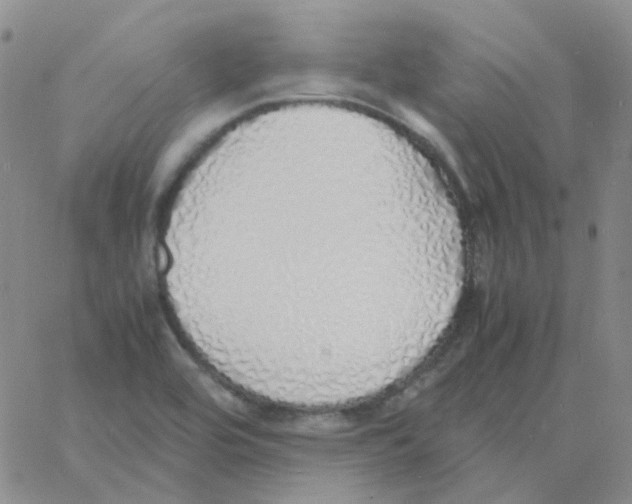 X0000060781464200512082046