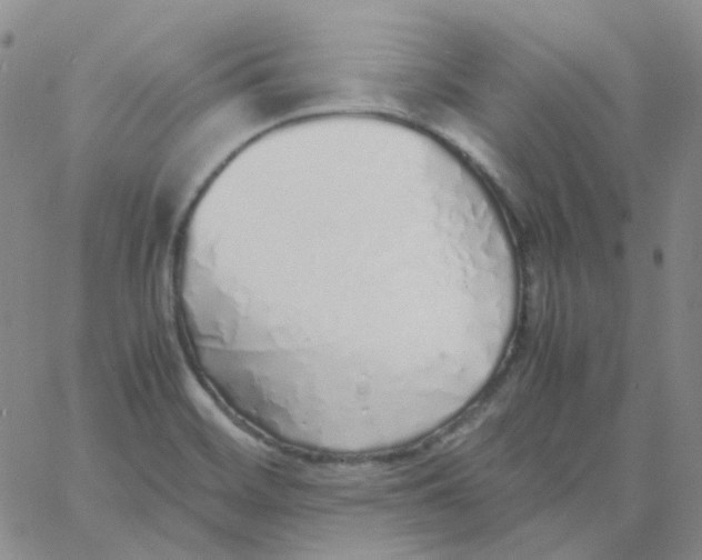 X0000060781468200512082046