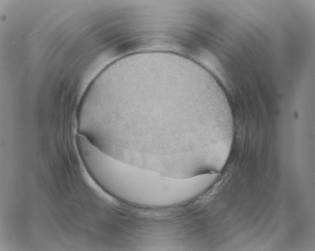 X0000060781476200512082046