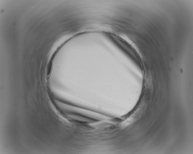 X0000060781477200512082046