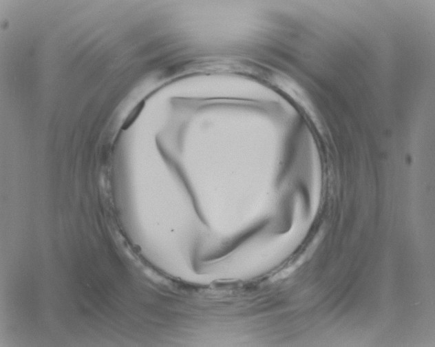 X0000060781481200512082046