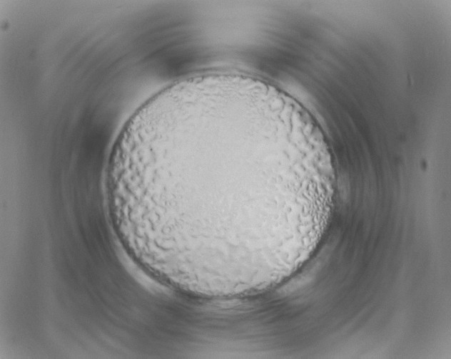 X0000060781482200512082046