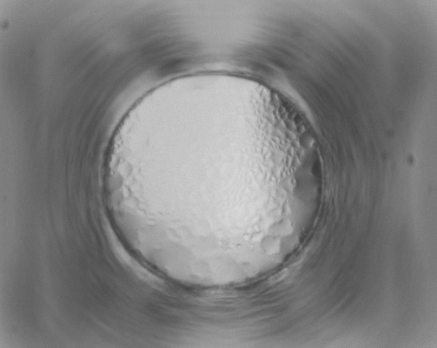 X0000060781483200512082046