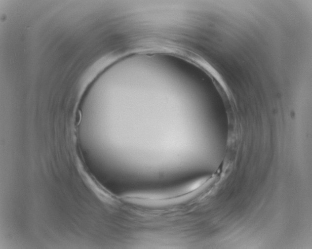 X0000060781485200512082046