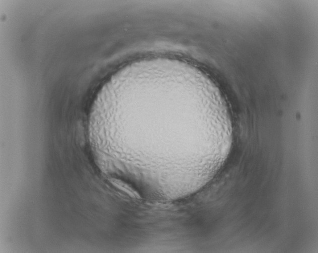 X0000060781493200512082045