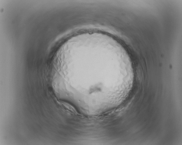X0000060781494200512082045