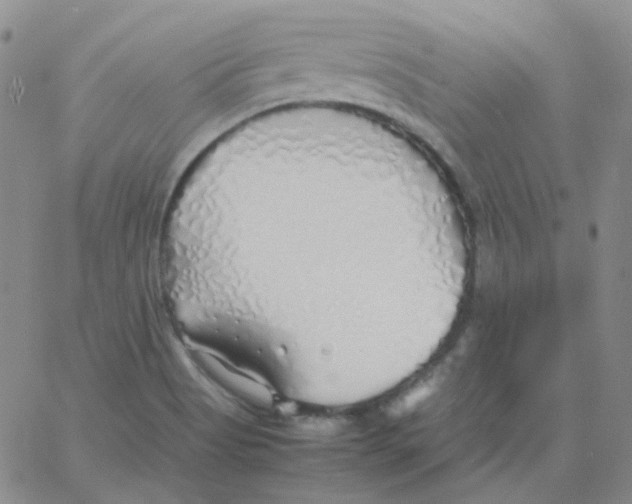 X0000060781513200512082046