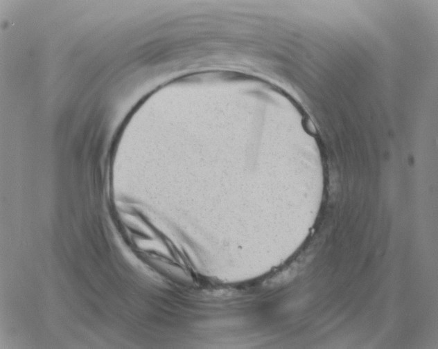 X0000060781515200512082046