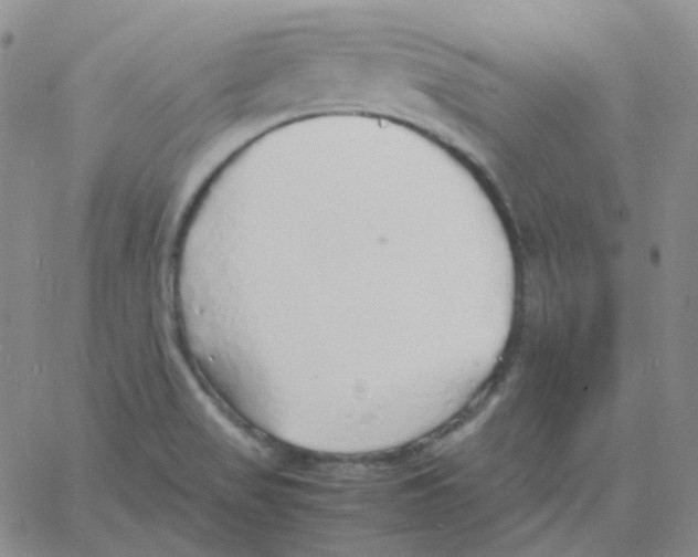 X0000060781517200512082046
