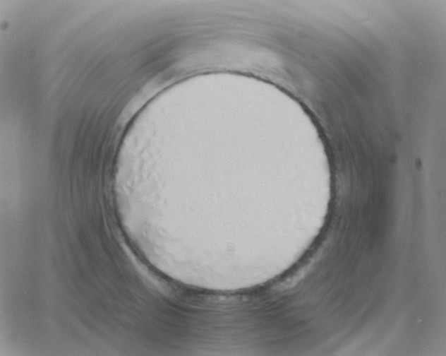 X0000060781521200512082046