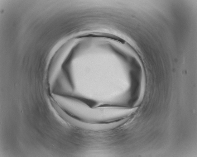 X0000060781536200512082046