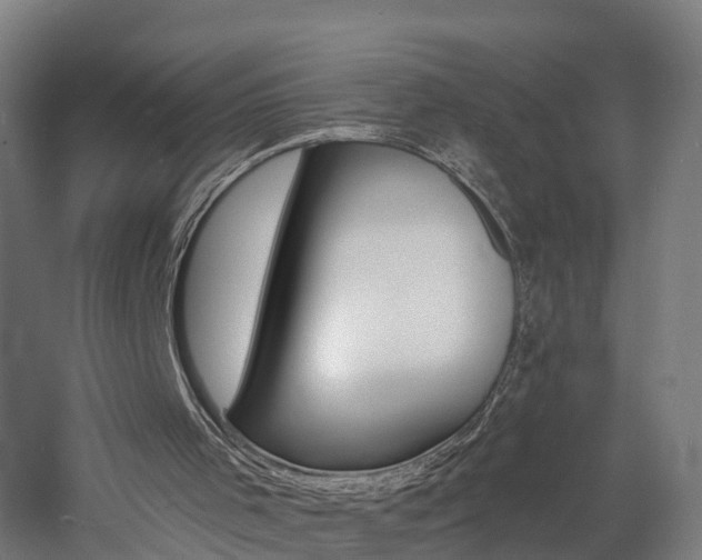 X0000060790001200511101046