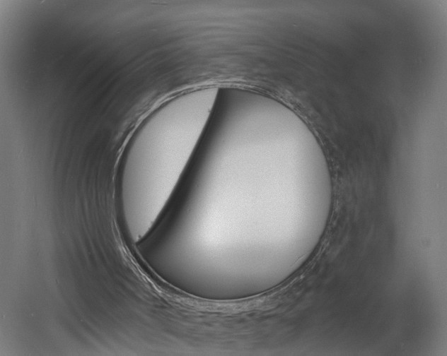 X0000060790002200511101046