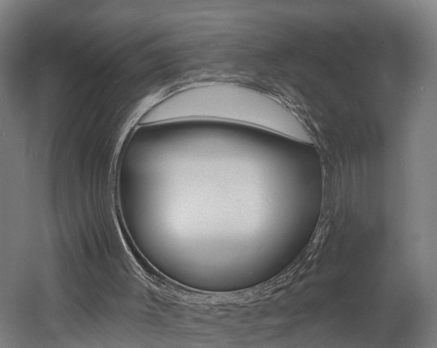 X0000060790003200511101046