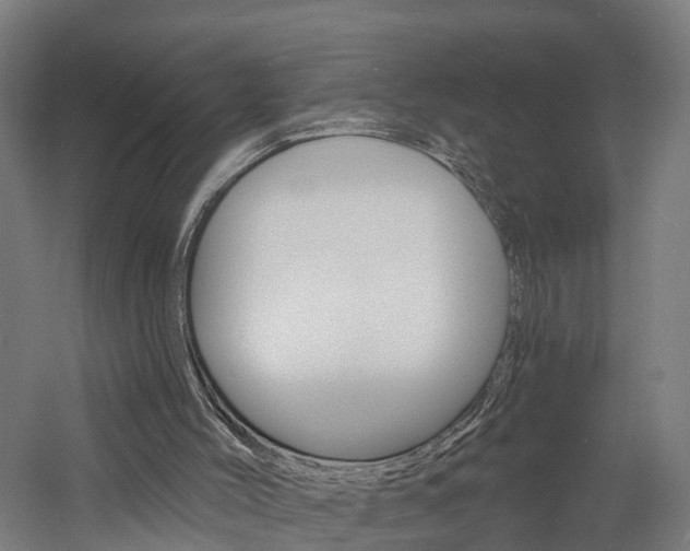 X0000060790004200511101046