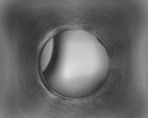 X0000060790005200511101046