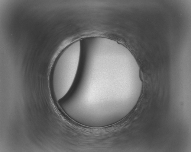 X0000060790006200511101046