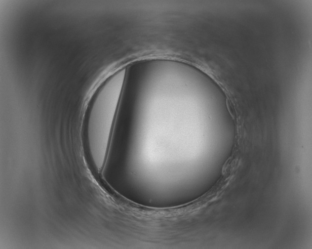 X0000060790007200511101046