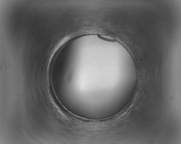 X0000060790008200511101046