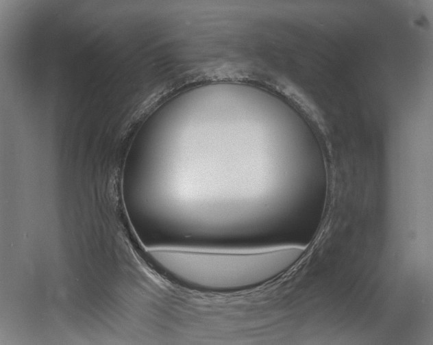 X0000060790009200511101046