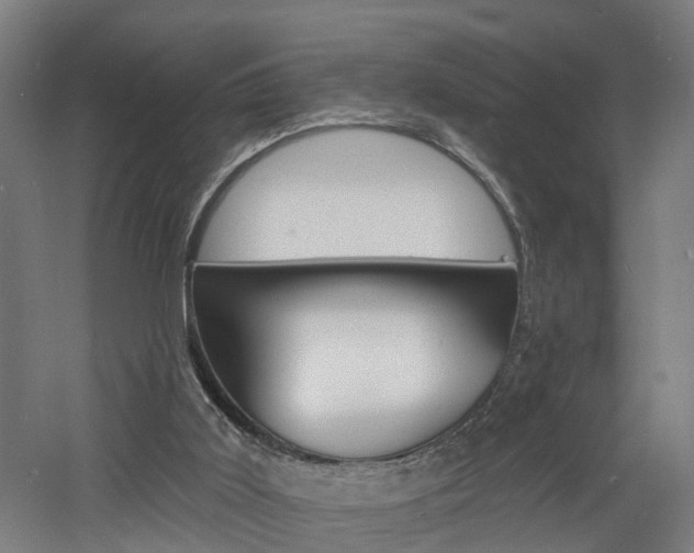 X0000060790011200511101046