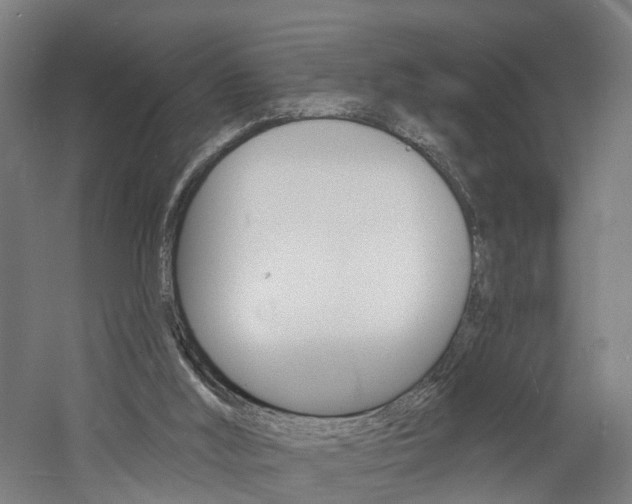 X0000060790012200511101046