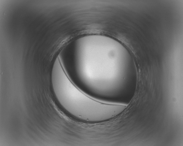 X0000060790013200511101046