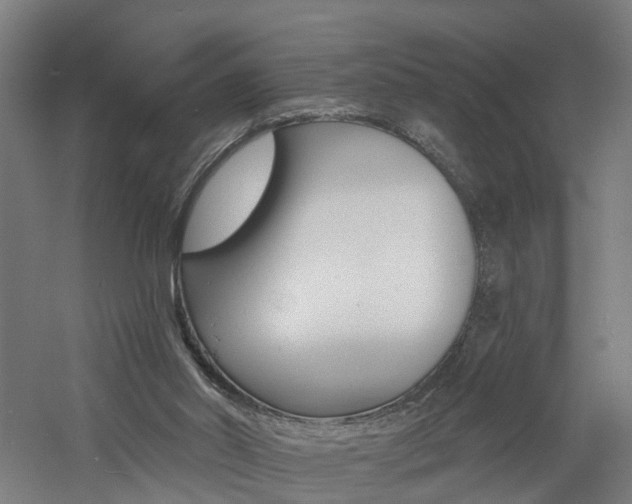 X0000060790014200511101046