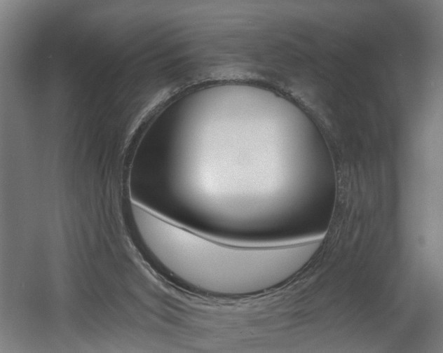 X0000060790015200511101046