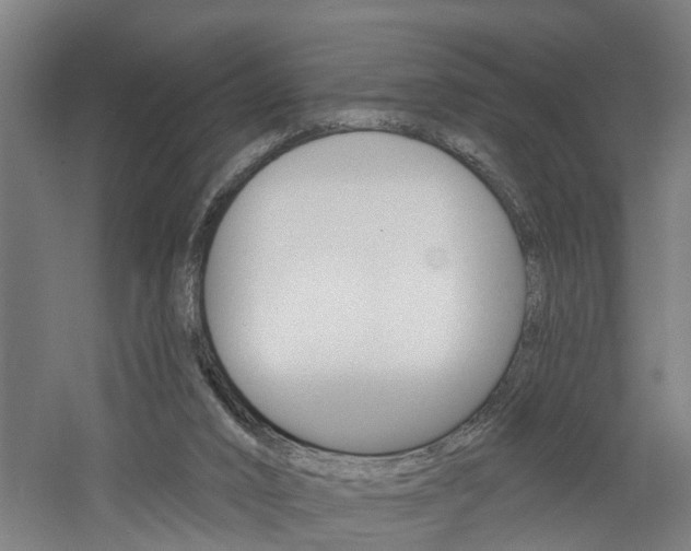 X0000060790016200511101046